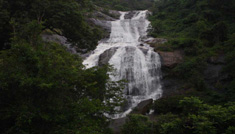 Kavya Tours & Travels Coimbatore - Tours & Travels